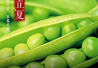 立夏吃什么好？立夏吃什么蔬菜？