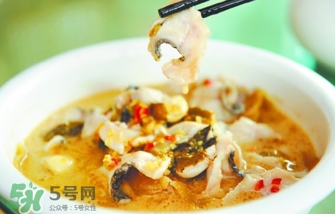 黑魚是發(fā)物嗎？黑魚是不是發(fā)物