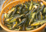 黃顙魚不能和什么一起吃？黃顙魚不能與什么同吃？