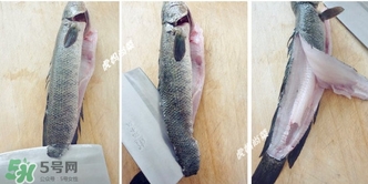 黑魚怎么切片？黑魚如何切魚片