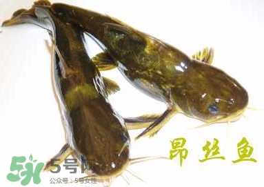 黃顙魚不能和什么一起吃？黃顙魚不能與什么同吃？