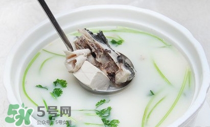 生魚怎么做好吃？生魚湯的做法和功效