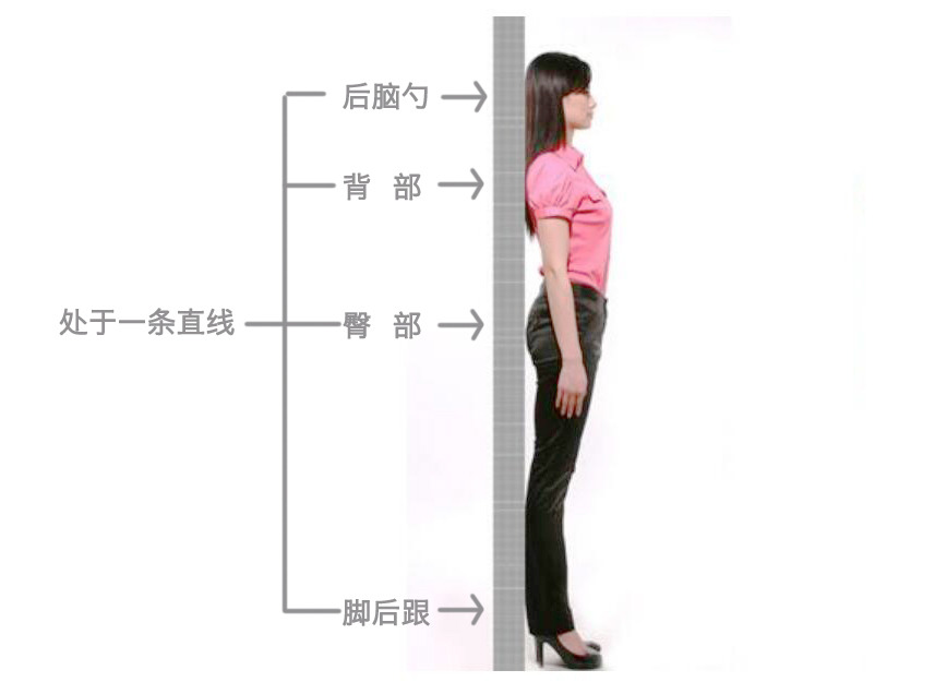 天鵝頸是什么樣的？天鵝頸怎么練？