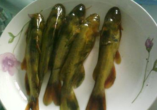 嘎魚是海魚嗎？嘎魚是什么魚