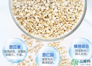 薏仁水可以天天敷嗎？薏仁水幾天敷一次？