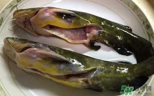 黃辣丁一斤多少錢？黃辣丁價格
