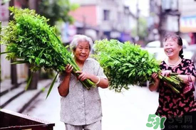端午節(jié)為什么掛艾草？端午節(jié)掛艾草的由來(lái)