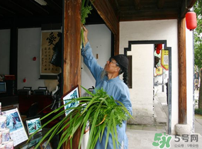 端午節(jié)門上掛的那個草叫什么？端午節(jié)掛門上的叫什么？