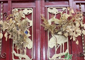 端午節(jié)門上掛的那個草叫什么？端午節(jié)掛門上的叫什么？