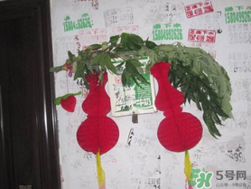 端午節(jié)門上掛的那個草叫什么？端午節(jié)掛門上的叫什么？