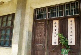端午節(jié)插門上的是什么？端午節(jié)為什么要插艾草？