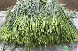 蒜薹跟什么相克？蒜薹不能和什么一起吃
