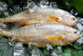 端午節(jié)為什么要吃黃魚？端午節(jié)吃黃魚的由來