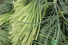 蒜薹怎么保存？蒜薹如何保存