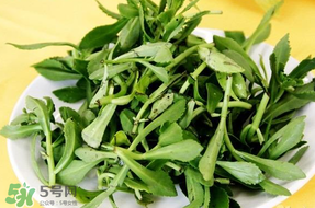 養(yǎng)心菜能生吃嗎？養(yǎng)心菜怎么吃？