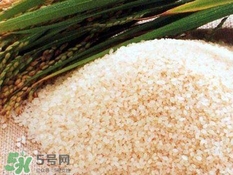 包粽子的米要泡多久？包粽子的米是什么米？
