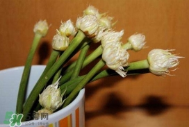 蒜薹可以放冰箱嗎？蒜薹可以冷凍嗎