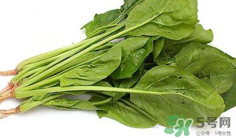 黃辣丁能和菠菜同食不？菠菜可以和黃辣丁一起吃嗎