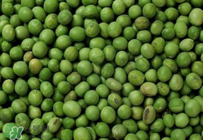 青豆可以打豆?jié){嗎？青豆能做豆?jié){嗎？