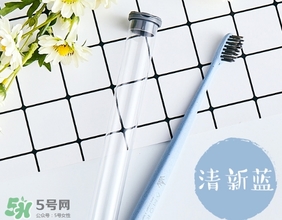 amortals爾木萄牙刷怎么樣？amortals爾木萄牙刷多少錢？