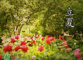 ?立夏是夏天嗎？?立夏是夏天的開始嗎？
