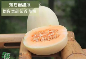 甜瓜可以帶上飛機嗎？坐飛機可以帶香瓜嗎？