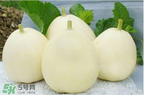 甜瓜可以帶上飛機嗎？坐飛機可以帶香瓜嗎？