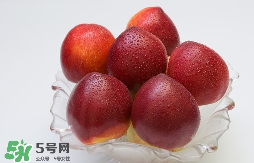 油桃什么時候成熟？油桃什么季節(jié)成熟