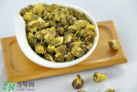 立夏喝菊花好嗎？立夏能吃苦菊嗎？
