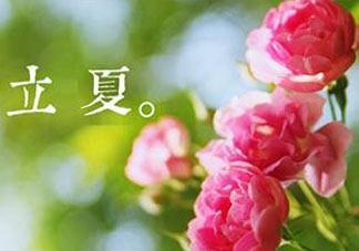 立夏開什么花？立夏有什么花？
