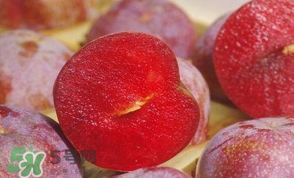三華李多少錢一斤？三華李價(jià)格