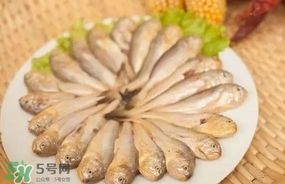 黃唇魚是黃花魚嗎？黃唇魚是黃魚嗎？