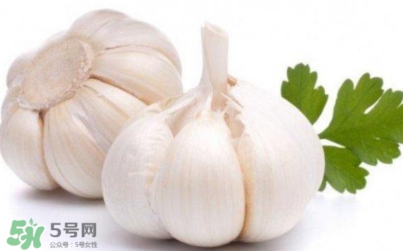 蒜頭發(fā)芽能吃嗎？蒜頭發(fā)芽可以吃嗎？