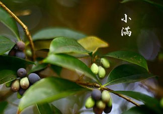 2017年小滿會(huì)下雨嗎？2017年小滿下雨好嗎？