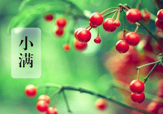 小滿是什么節(jié)氣？小滿是第幾個節(jié)氣？