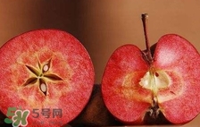 紅心蘋果多少錢一斤？紅肉蘋果價格