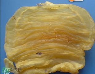 黃唇魚鰾一斤多少錢？黃唇魚鰾的藥用價值