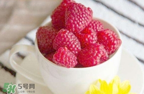 覆盆子是什么？覆盆子是樹莓嗎
