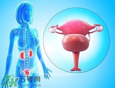 人造子宮能生孩子嗎？人造子宮初現(xiàn)曙光