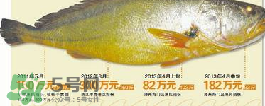 孕婦能吃金錢鱉嗎？懷孕期間能不能吃金錢鱉？