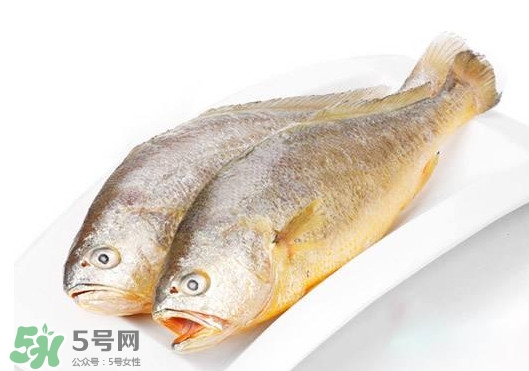 黃唇魚是不是黃花魚？黃唇魚和黃花魚的區(qū)別