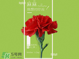 2017年母親節(jié)會打折嗎？2017年母親節(jié)有什么優(yōu)惠活動？
