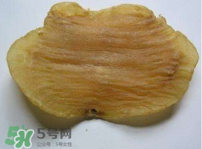  黃唇魚魚鰾怎么吃？ 黃唇魚魚鰾如何吃？