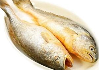 黃花魚多少錢一斤？野生黃花魚多少錢一斤
