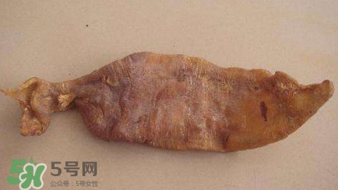黃唇魚魚鰾是什么？魚鰾是魚的哪個(gè)部位