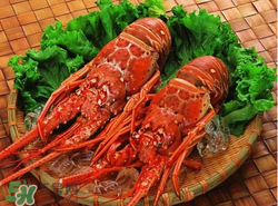 什么時(shí)候釣龍蝦最好？龍蝦幾月份能釣？