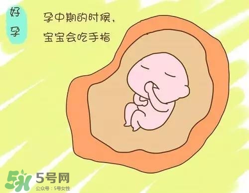 胎兒在媽媽肚子里都會(huì)干啥？胎兒的神奇世界