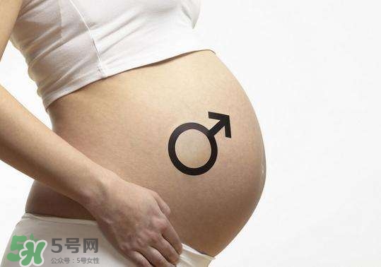 怎么問醫(yī)生胎兒性別？醫(yī)生會(huì)告訴胎兒性別嗎？