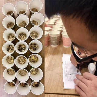 麥片什么牌子好？進(jìn)口麥片哪個(gè)牌子好吃