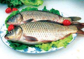 ?五月份吃什么魚(yú)？5月份吃什么魚(yú)？